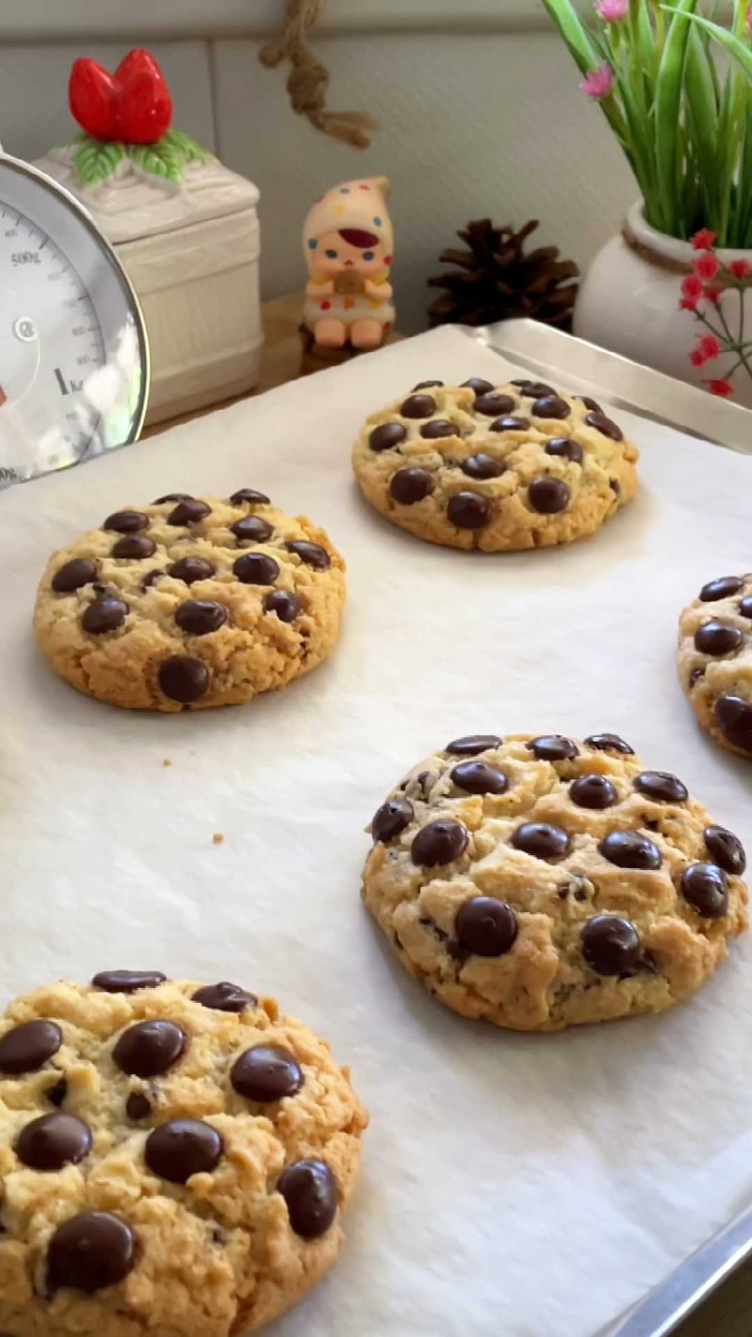 עוגיות שוקולד צ'יפס ללא גלוטן וכשרות לפסח