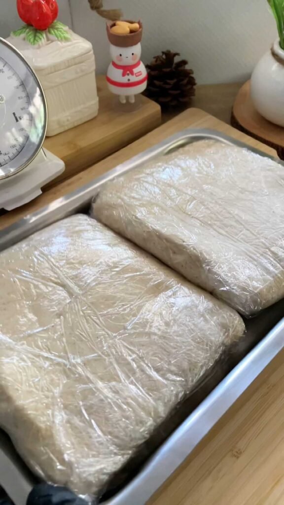 gluten free yeasted dough שמרים ללא גלוטן