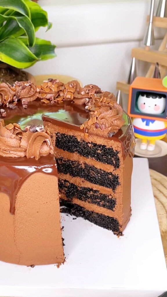 Rich Chocolate Cake עוגת שוקולד עשירה