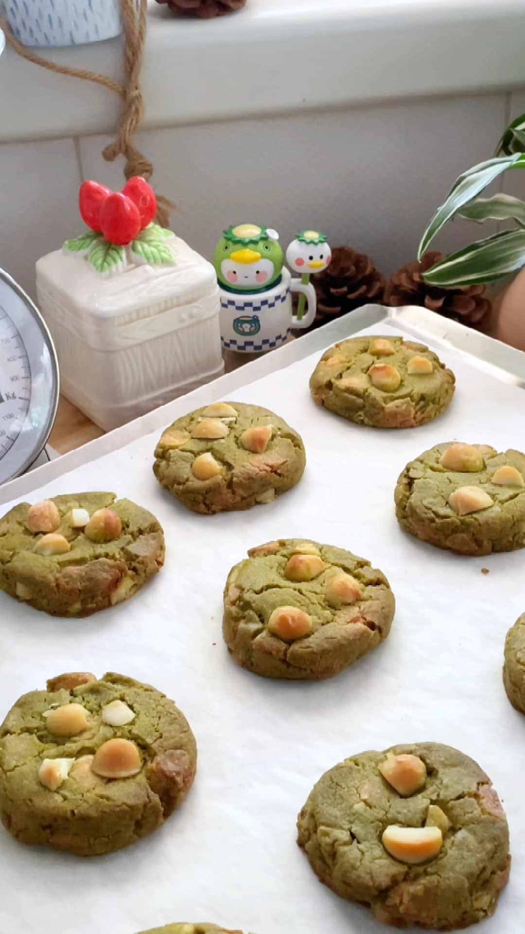 עוגיות מאצ'ה שוקולד לבן ואגוזי מקדמיה