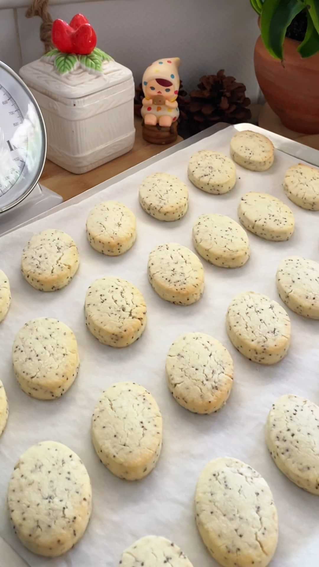 עוגיות שורטברד לימון ופרג