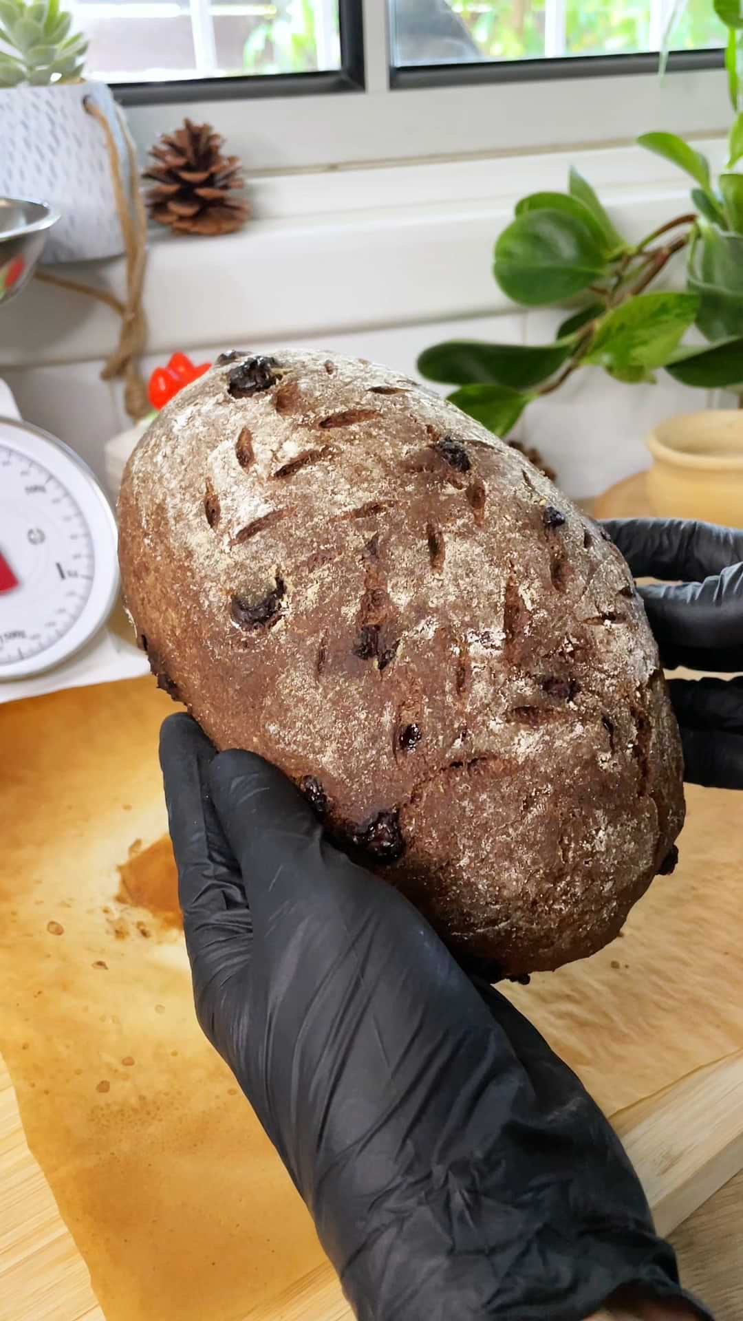 לחם שוקולד וחמוציות ללא גלוטן