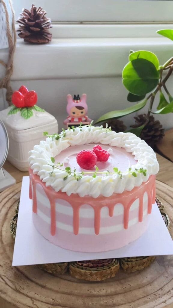 Plus Size Bento Birthday Cake עוגת בנטו פלאס סייז עם קרם פטל ושברי שוקולד לבן ושקדים