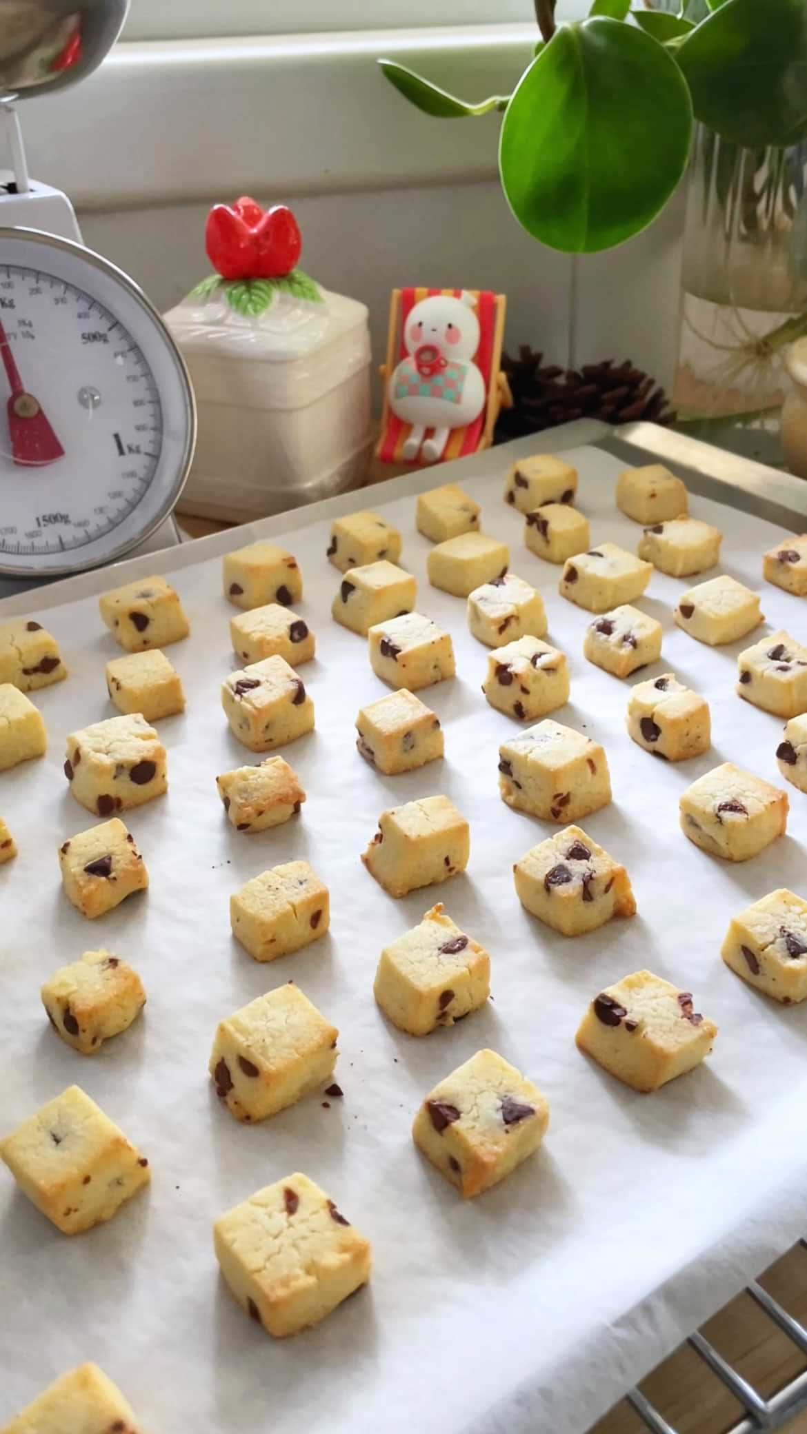 מיני עוגיות חמאה עם שוקולד צ'יפס