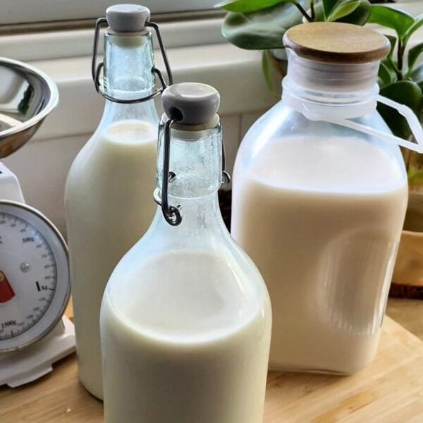 מקסימום סויה - מקבץ מתכוני בסיס לחובבי הסויה