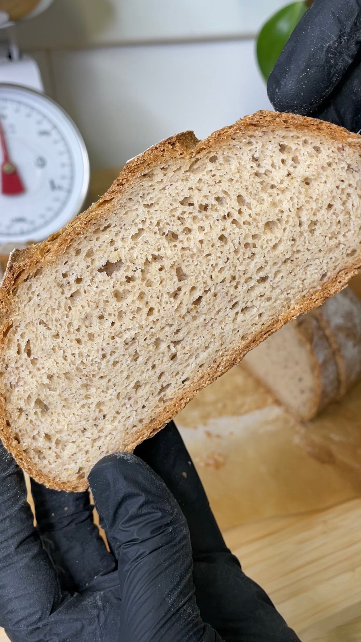 Gluten Free Beer Bread
