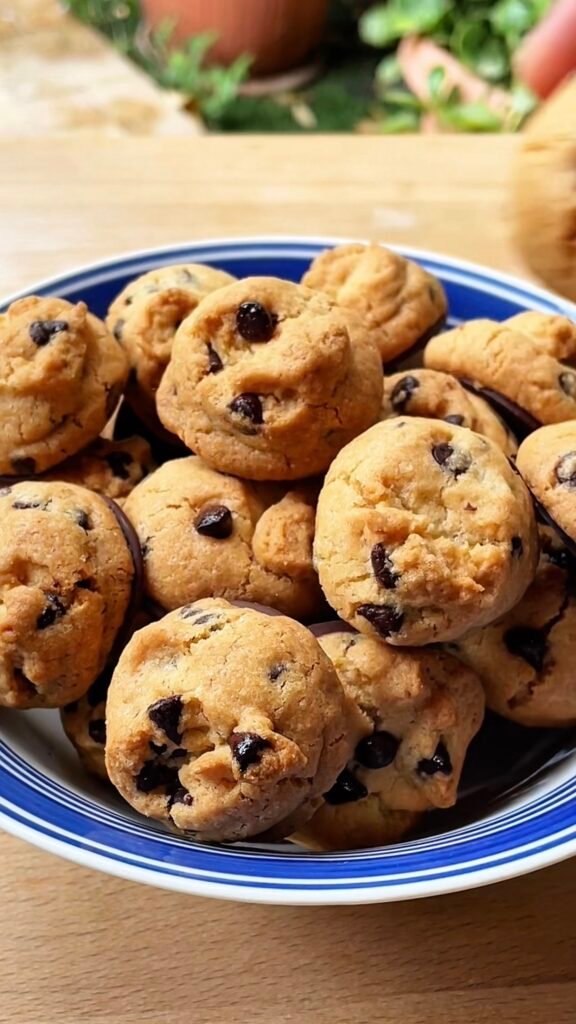 Piped Gluten Free Mini Chocolate Chip Cookies מיני עוגיות שוקולד צ'יפס ללא גלוטן