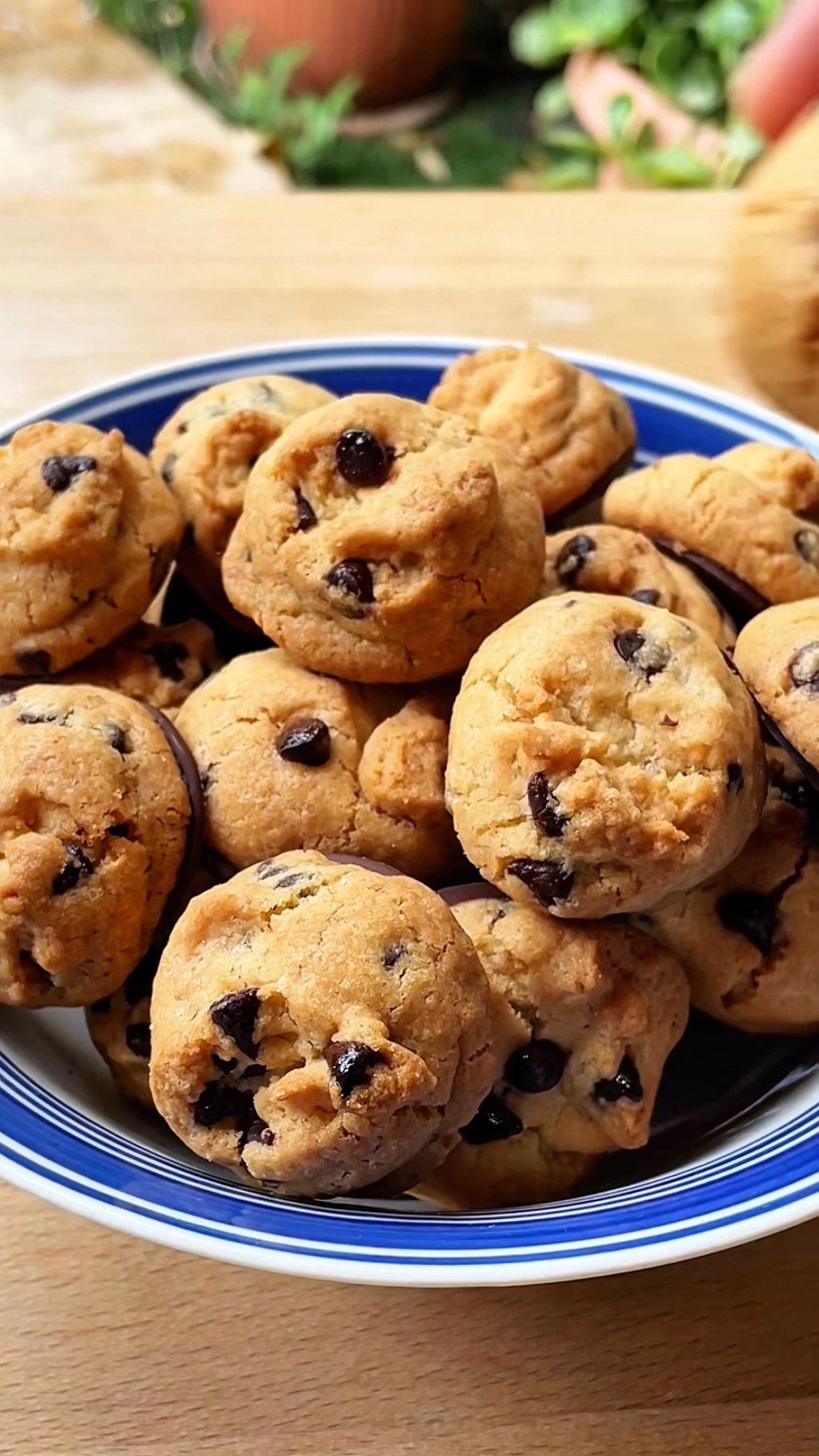 Piped Gluten Free Mini Chocolate Chip Cookies